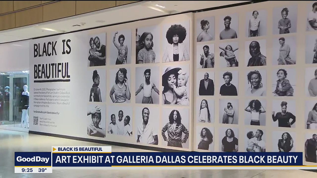 Art exhibit at Galleria Dallas celebrates black beauty