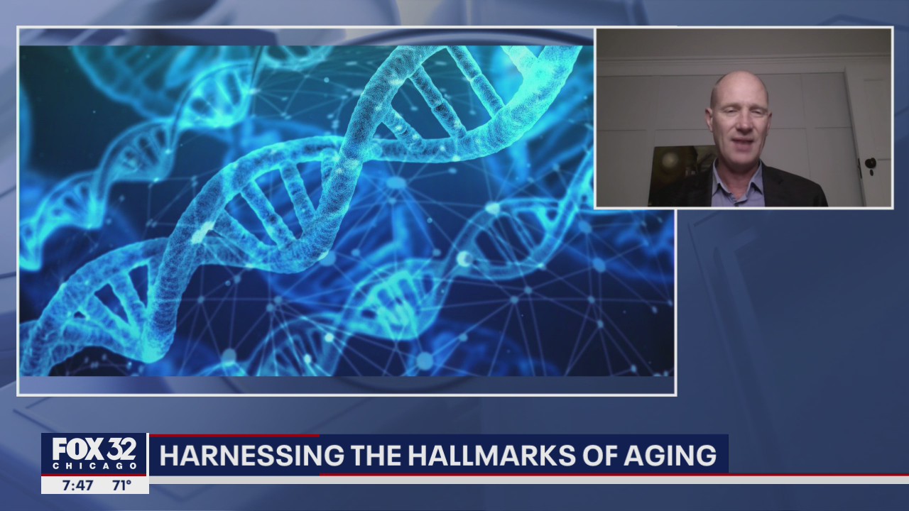 Slowing down the aging process: Is it possible?