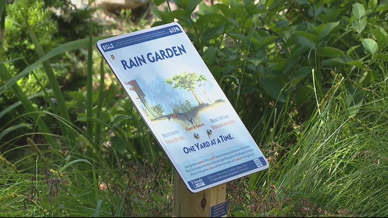 FoxE Report - Rain gardens could be coming to a parking lot near you