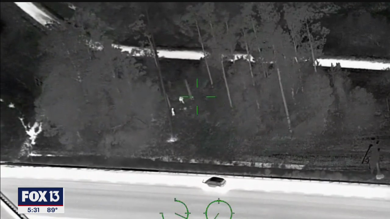 Deputies track down suspected van thief