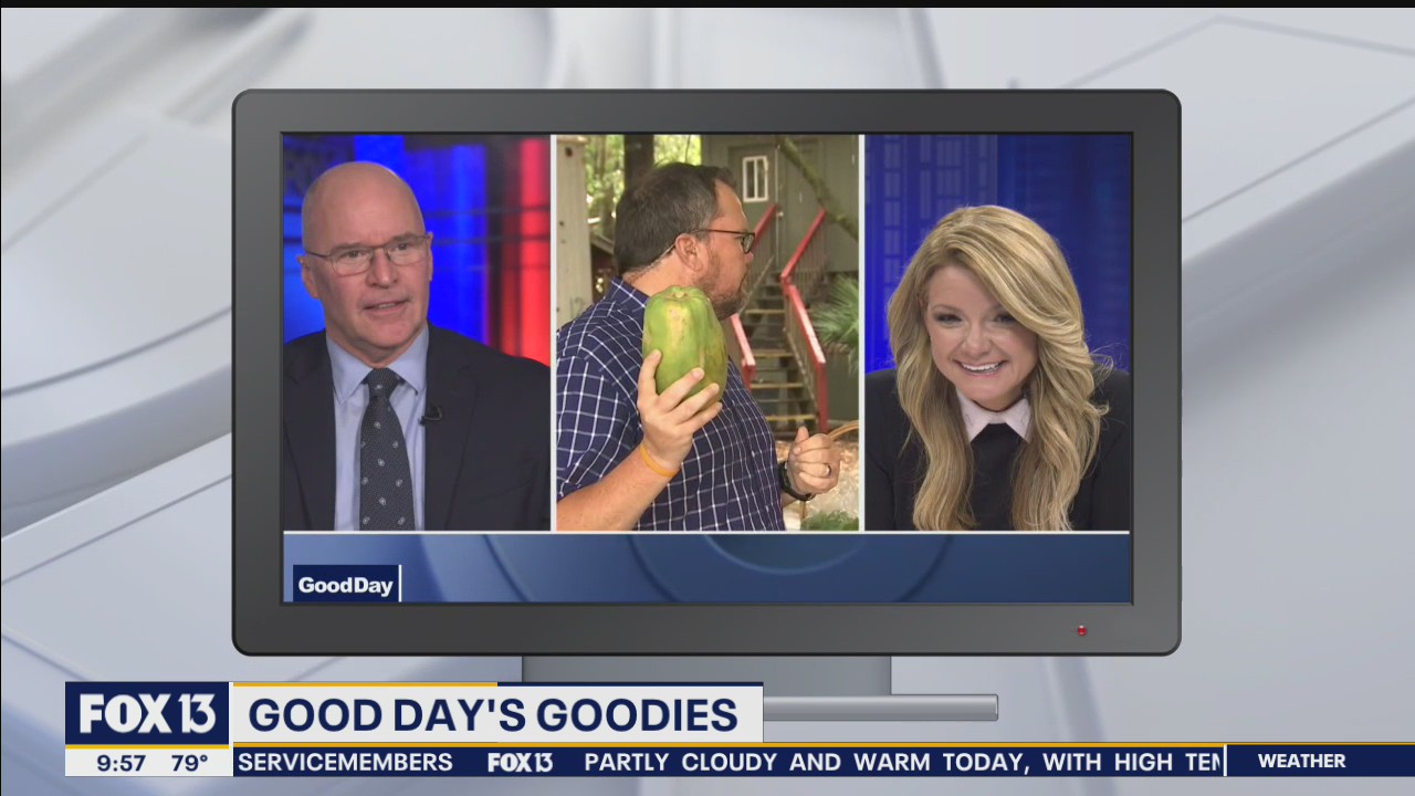 Good Day Goodies: Nov. 13, 2020