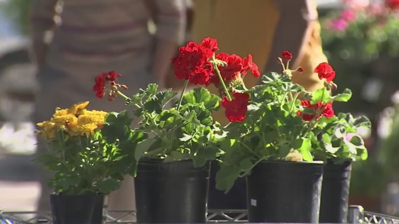 More people heading outside as temperature dips