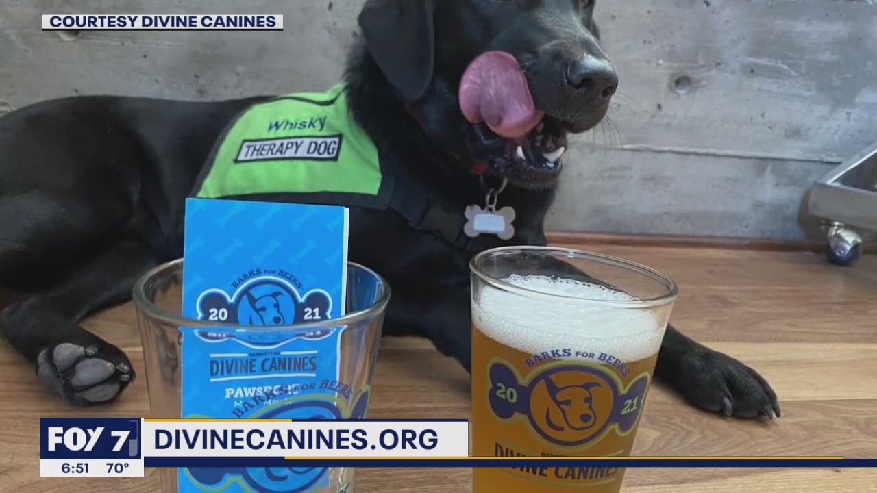 'Barks for Beers' fundraiser: pints to help pups