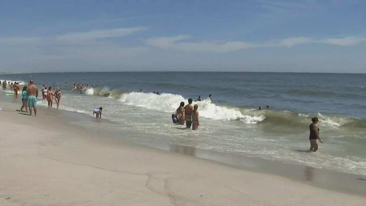 Lido Beach shark sighting