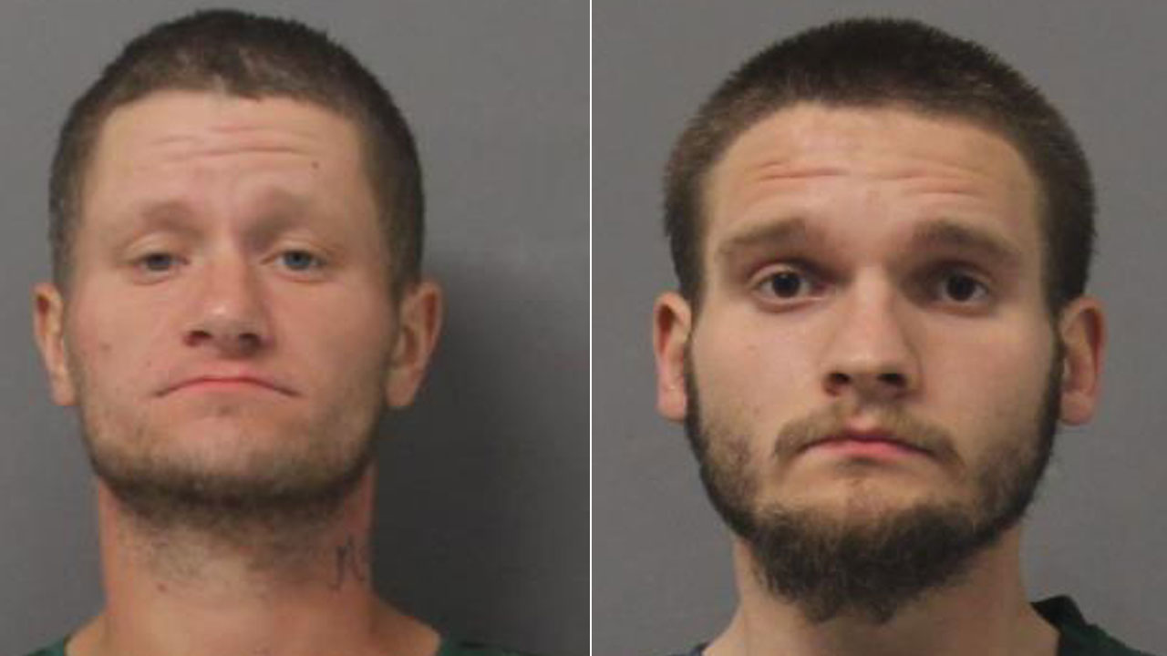 Two brothers accused of leaving grandma to die in house fire