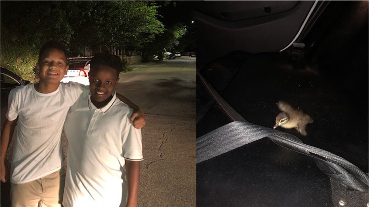 2 boys beat police to duckling rescue