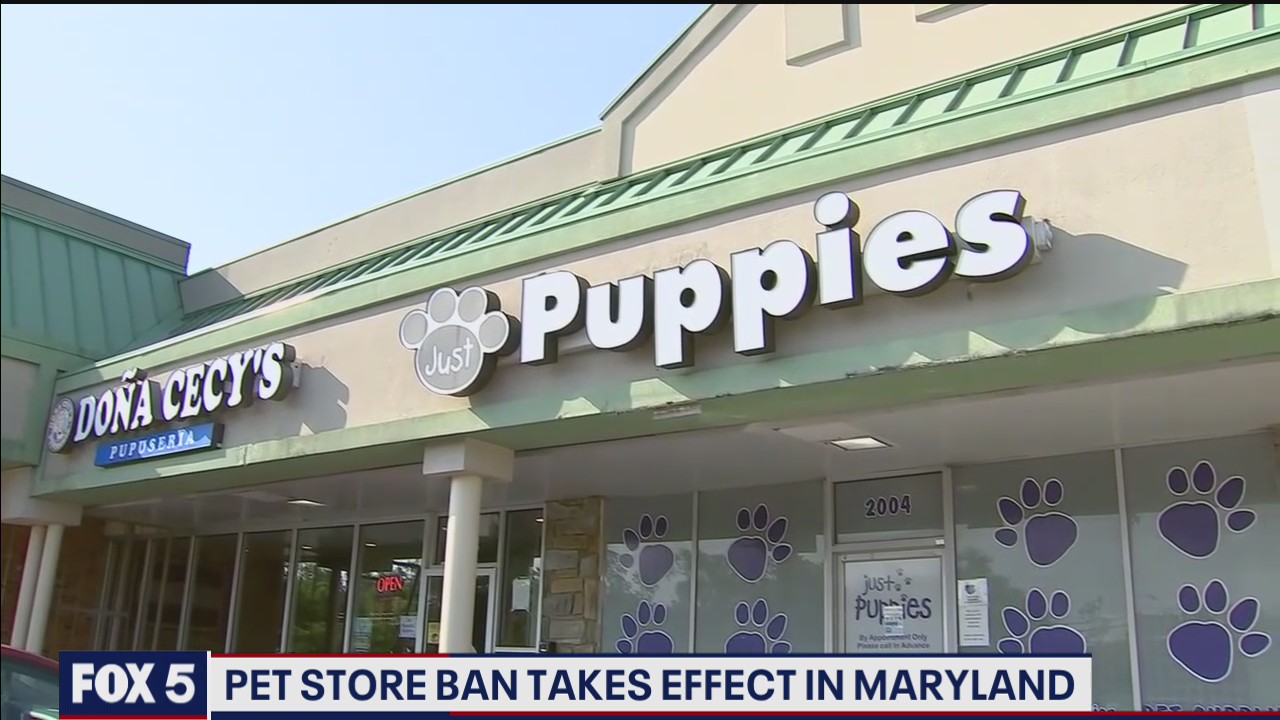 Pet store ban takes effect in Maryland