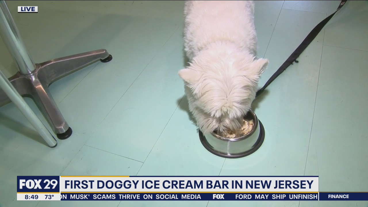 Salty Paws Doggie Ice Cream Shop serving up tasty treats for pups in Stone Harbor