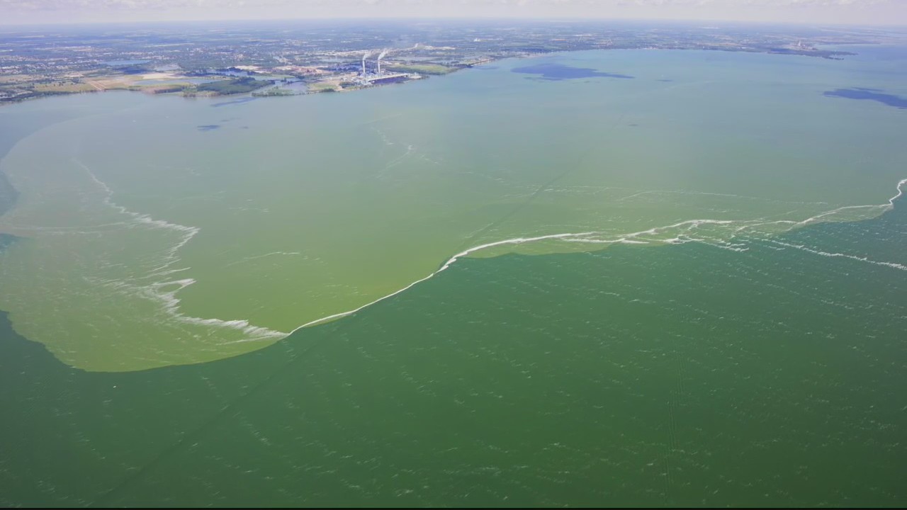 Algae blooms on Lake Erie cause serious problems