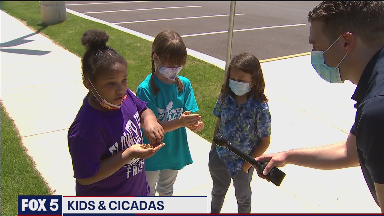 DC area kids learning about Brood X for the first time