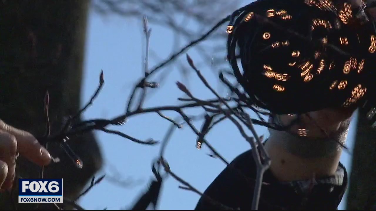 We Energies offers holiday lights cost calculator