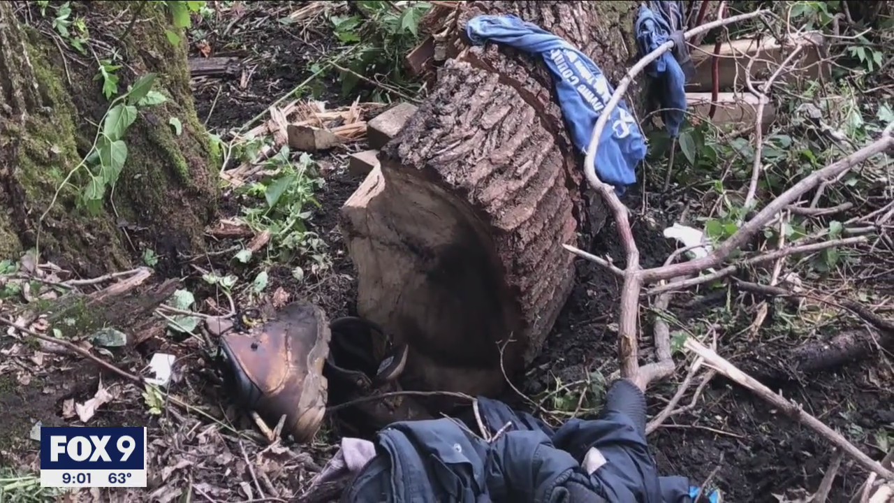 Man survives for 4 days trapped under fallen tree in western Minnesota