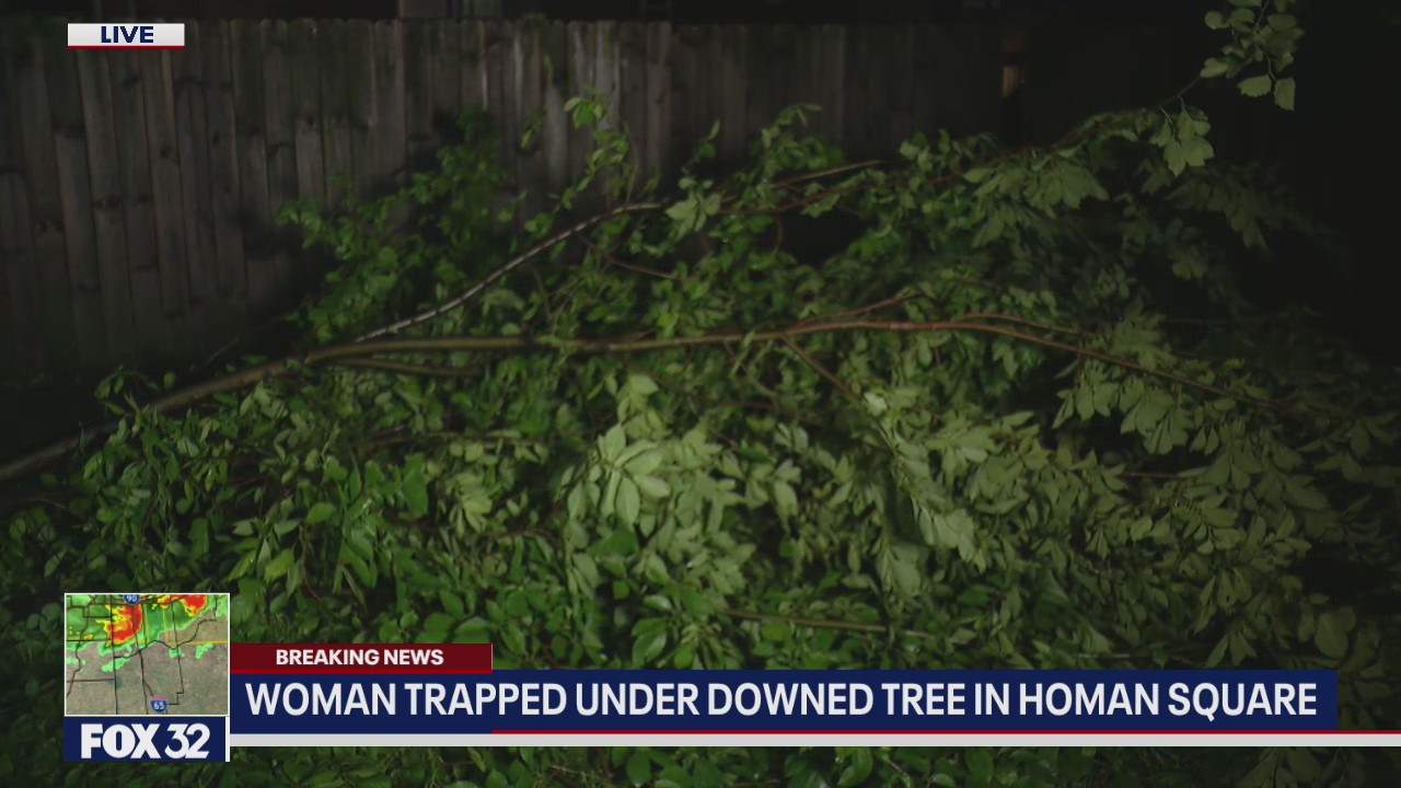 Woman trapped under downed tree in Homan Square