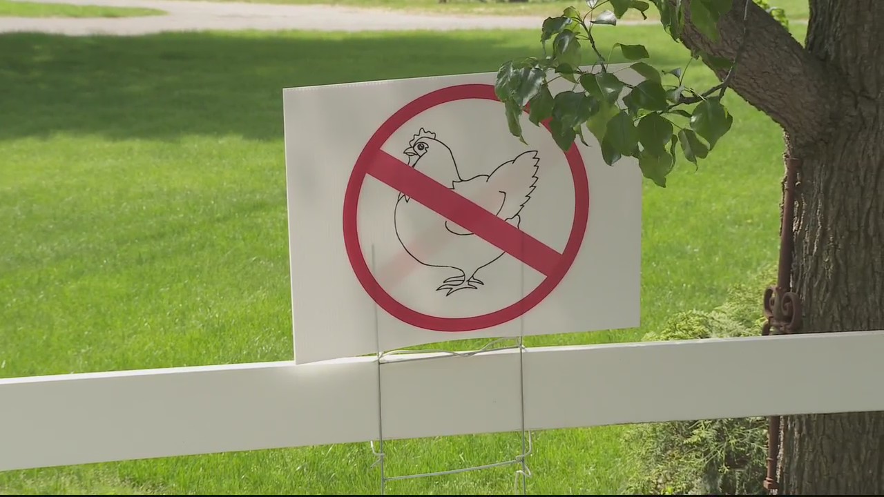 Village of Beverly Hills divided on proposal to allow chicken coops