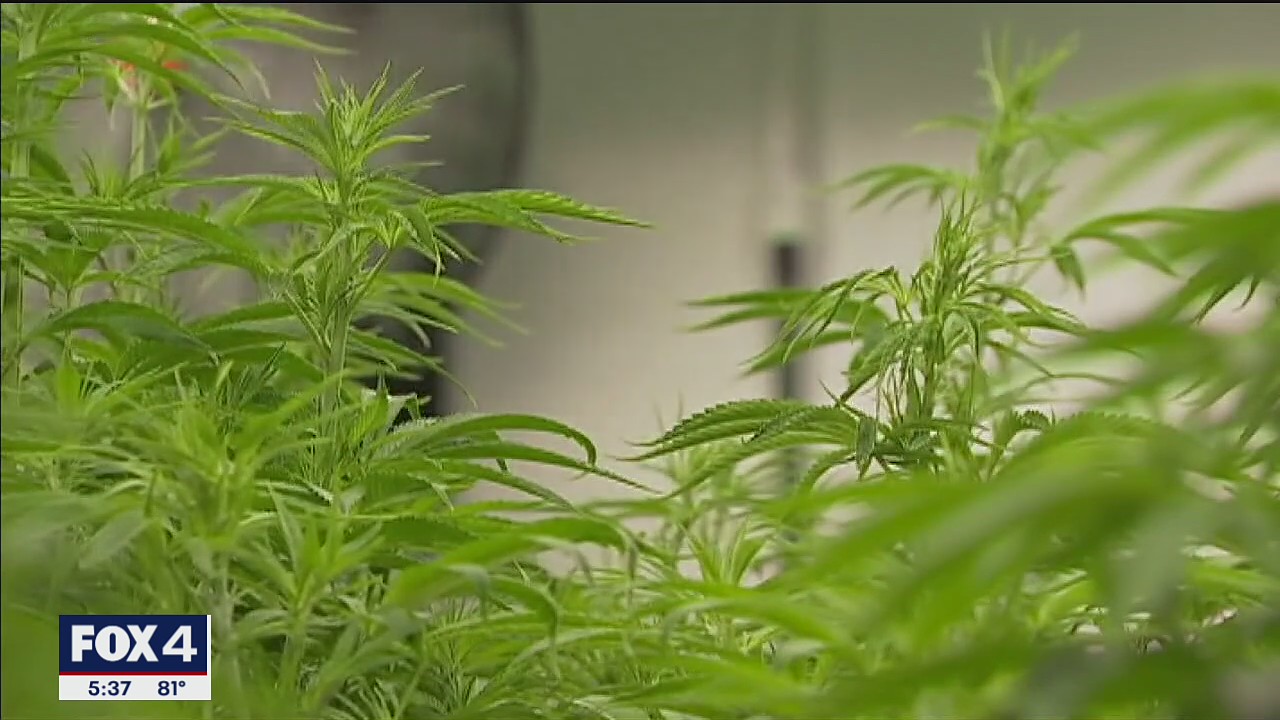 Texas bill could expand state's medical marijuana program