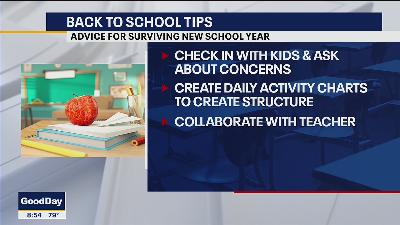 Surviving the new school year