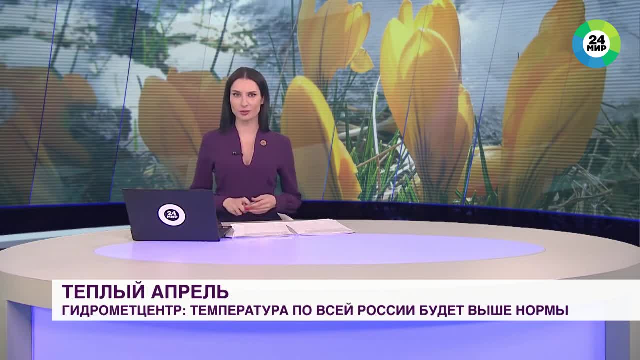 Golden retriever steals reporter's mic during live report