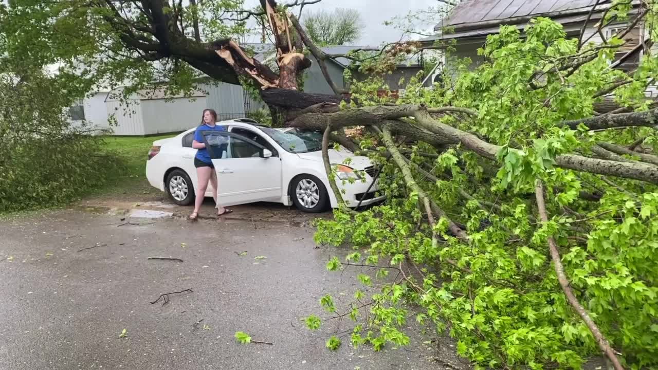 Severe weather, tornado downs trees in Kentucky