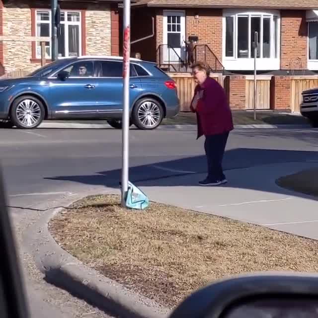Canadian woman doles out daily dose of kindness on neighborhood corner