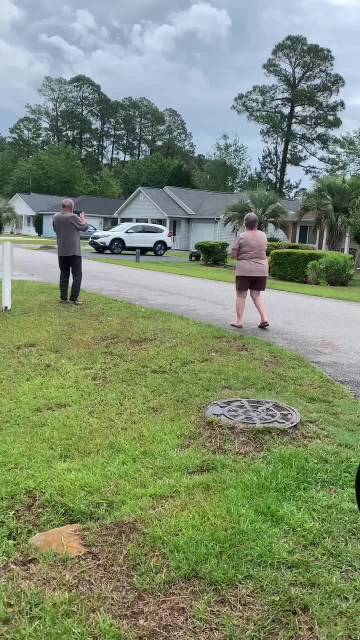 Huge Alligator Strolls in Front Yard