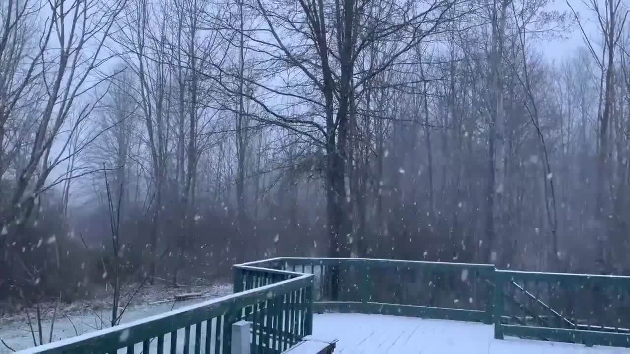 Residents of northeast Ohio wake up to April Fools Day 2021 snow