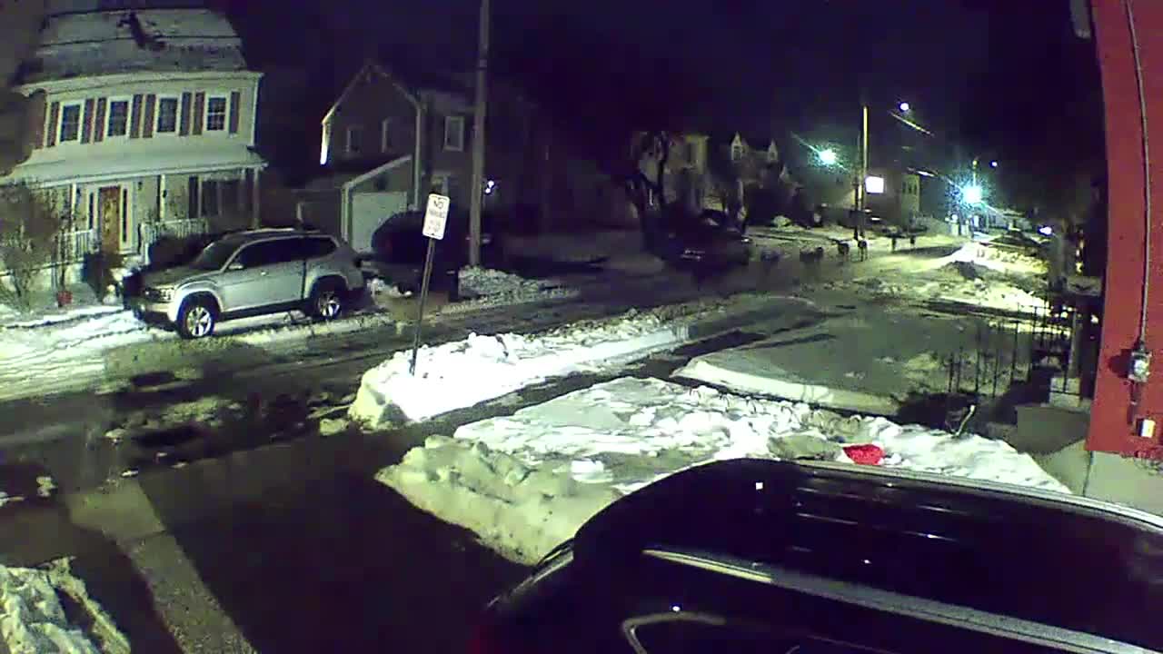 Home security footage shows reindeer going for Christmas practice run