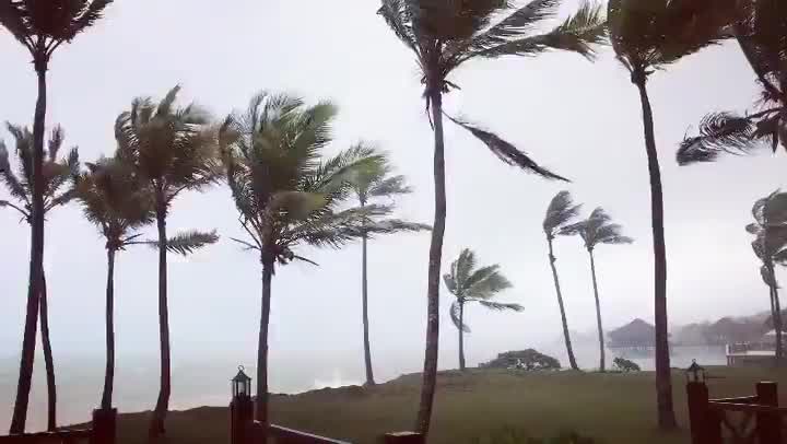 Winds from Isaias blow through the Dominican Republic