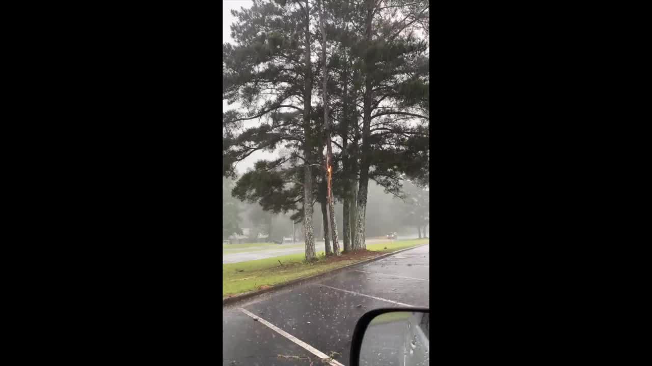 Tree Burns After Lightning Strike in Georgia Storm