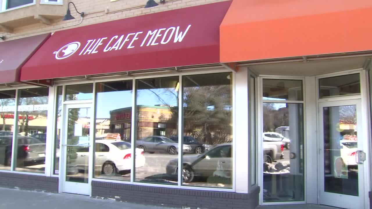 Cafe Meow opens in Minneapolis