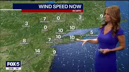 Weather Forecast