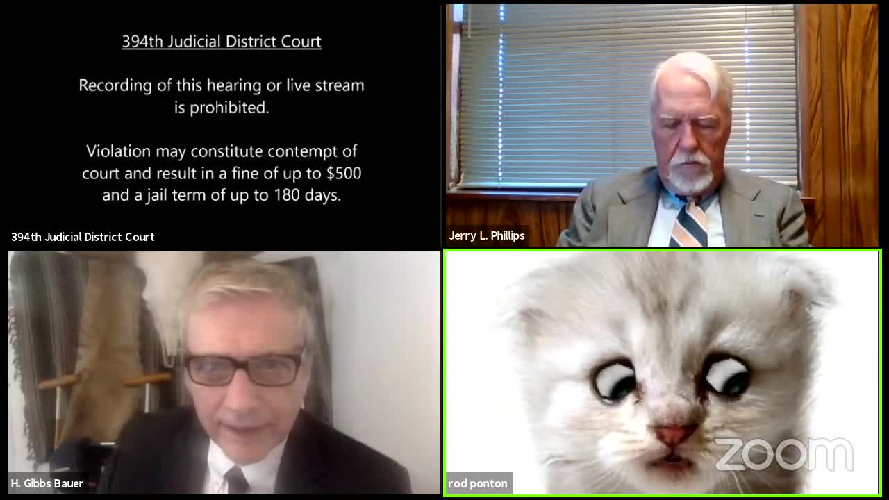 Lawyer can’t remove Zoom filter during virtual court appearance