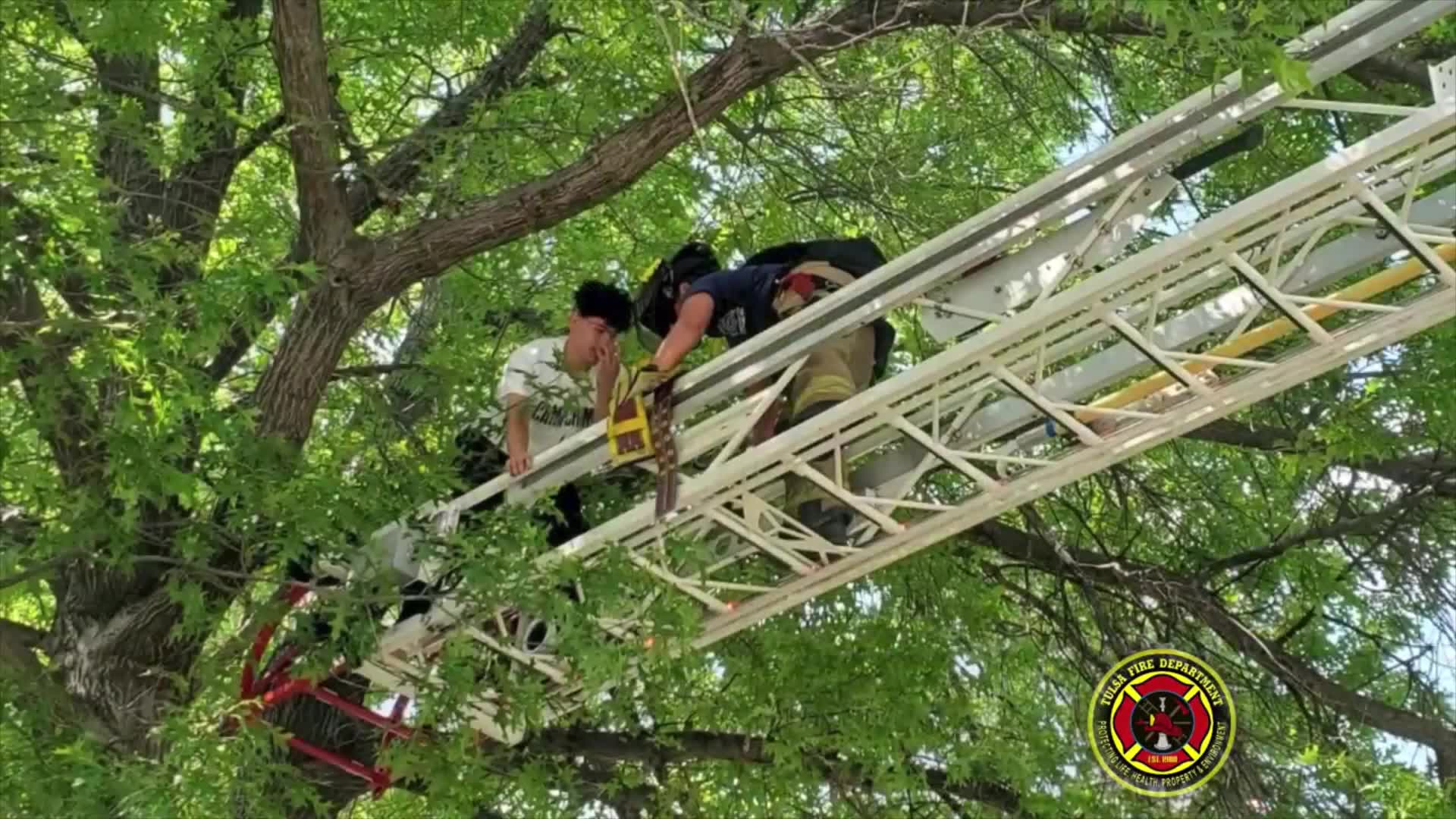 Firefighters Rescue Cat, and Owner Who Tried to Rescue Cat, After Both End Up Stuck in Tree