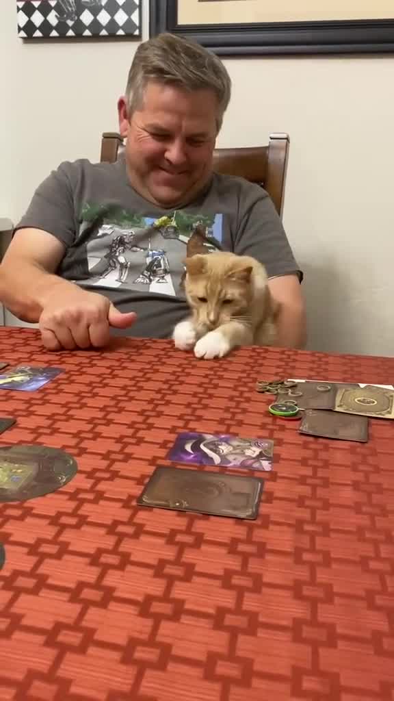 Cat Sits in Owner's Lap and Reacts Weirdly Every Time he Spins Coin on Table (DO NOT USE)